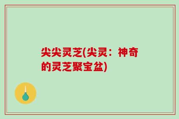 尖尖灵芝(尖灵:神奇的灵芝聚宝盆)-第1张图片-破壁灵芝孢子粉研究指南 尖尖灵芝(尖灵:神奇的灵芝聚宝盆)-第1张图片-破壁灵芝孢子粉研究指南