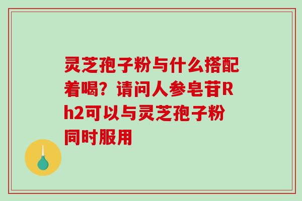 灵芝孢子粉与什么搭配着喝？请问人参皂苷Rh2可以与灵芝孢子粉同时服用-第1张图片-破壁灵芝孢子粉研究指南