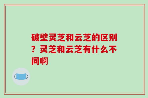 破壁灵芝和云芝的区别?灵芝和云芝有什么不同啊-第1张图片-破壁灵芝孢子粉研究指南 破壁灵芝和云芝的区别?灵芝和云芝有什么不同啊-第1张图片-破壁灵芝孢子粉研究指南