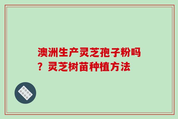 澳洲生产灵芝孢子粉吗?灵芝树苗种植方法-第1张图片-破壁灵芝孢子粉研究指南 澳洲生产灵芝孢子粉吗?灵芝树苗种植方法-第1张图片-破壁灵芝孢子粉研究指南