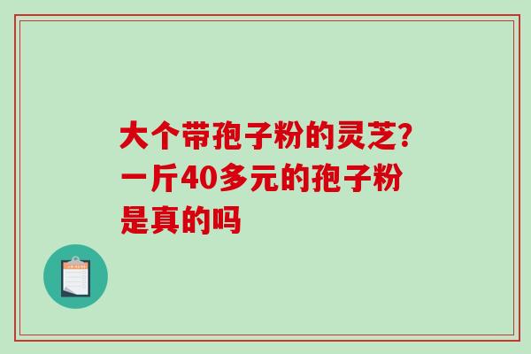 大个带孢子粉的灵芝?一斤40多元的孢子粉是真的吗-第1张图片-破壁灵芝孢子粉研究指南 大个带孢子粉的灵芝?一斤40多元的孢子粉是真的吗-第1张图片-破壁灵芝孢子粉研究指南