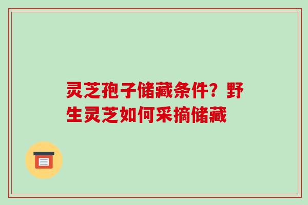 灵芝孢子储藏条件？野生灵芝如何采摘储藏-第1张图片-破壁灵芝孢子粉研究指南