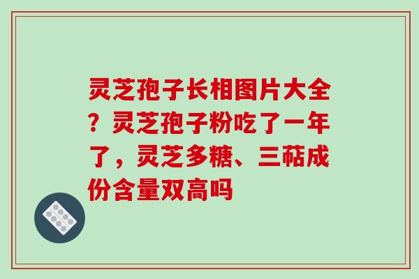 灵芝孢子长相图片大全?灵芝孢子粉吃了一年了,灵芝多糖、三萜成份含量双高吗-第1张图片-破壁灵芝孢子粉研究指南 灵芝孢子长相图片大全?灵芝孢子粉吃了一年了,灵芝多糖、三萜成份含量双高吗-第1张图片-破壁灵芝孢子粉研究指南