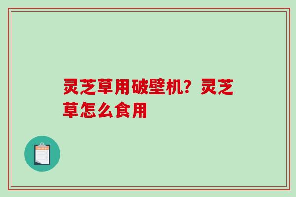 灵芝草用破壁机？灵芝草怎么食用-第1张图片-破壁灵芝孢子粉研究指南