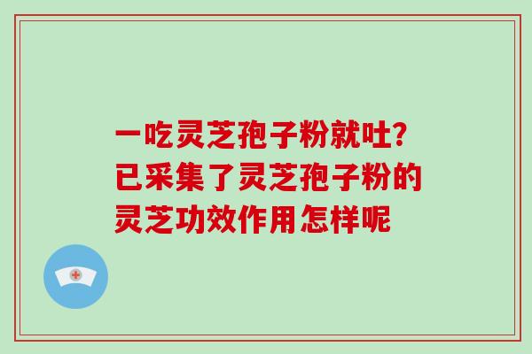 一吃灵芝孢子粉就吐?已采集了灵芝孢子粉的灵芝功效作用怎样呢-第1张图片-破壁灵芝孢子粉研究指南 一吃灵芝孢子粉就吐?已采集了灵芝孢子粉的灵芝功效作用怎样呢-第1张图片-破壁灵芝孢子粉研究指南