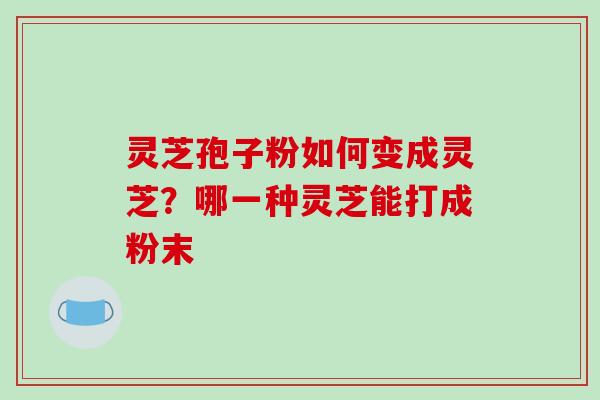 灵芝孢子粉如何变成灵芝?哪一种灵芝能打成粉末-第1张图片-破壁灵芝孢子粉研究指南 灵芝孢子粉如何变成灵芝?哪一种灵芝能打成粉末-第1张图片-破壁灵芝孢子粉研究指南