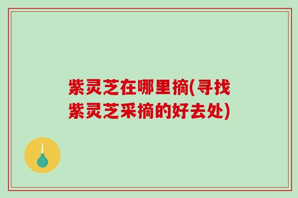紫灵芝在哪里摘(寻找紫灵芝采摘的好去处)-第1张图片-破壁灵芝孢子粉研究指南 紫灵芝在哪里摘(寻找紫灵芝采摘的好去处)-第1张图片-破壁灵芝孢子粉研究指南