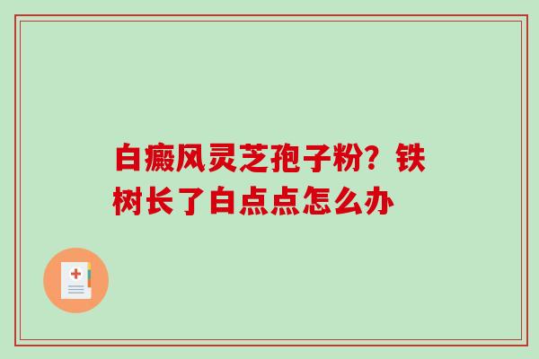 白癜风灵芝孢子粉?铁树长了白点点怎么办-第1张图片-破壁灵芝孢子粉研究指南 白癜风灵芝孢子粉?铁树长了白点点怎么办-第1张图片-破壁灵芝孢子粉研究指南