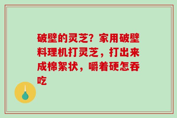 破壁的灵芝?家用破壁料理机打灵芝,打出来成棉絮状,嚼着硬怎吞吃-第1张图片-破壁灵芝孢子粉研究指南 破壁的灵芝?家用破壁料理机打灵芝,打出来成棉絮状,嚼着硬怎吞吃-第1张图片-破壁灵芝孢子粉研究指南