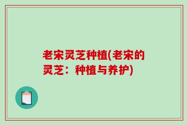 老宋灵芝种植(老宋的灵芝:种植与养护)-第1张图片-破壁灵芝孢子粉研究指南 老宋灵芝种植(老宋的灵芝:种植与养护)-第1张图片-破壁灵芝孢子粉研究指南