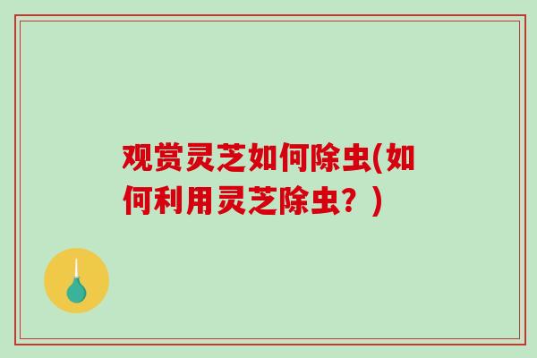 观赏灵芝如何除虫(如何利用灵芝除虫?)-第1张图片-破壁灵芝孢子粉研究指南 观赏灵芝如何除虫(如何利用灵芝除虫?)-第1张图片-破壁灵芝孢子粉研究指南
