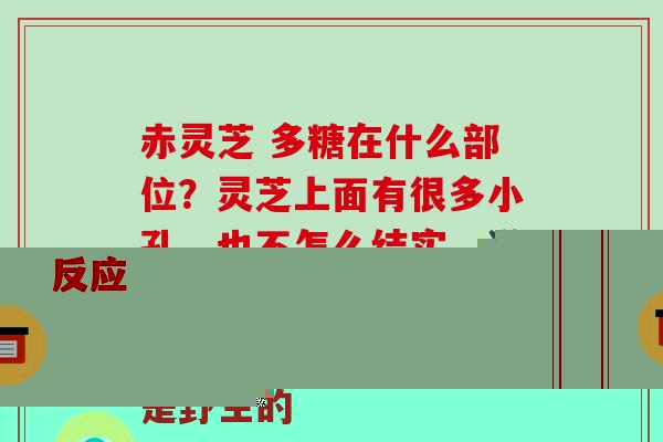 吃灵芝孢子粉胃难受想吐?吃灵芝孢子粉有何反应-第1张图片-破壁灵芝孢子粉研究指南 吃灵芝孢子粉胃难受想吐?吃灵芝孢子粉有何反应-第1张图片-破壁灵芝孢子粉研究指南