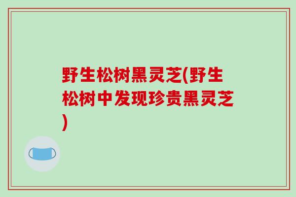 野生松树黑灵芝(野生松树中发现珍贵黑灵芝)-第1张图片-破壁灵芝孢子粉研究指南