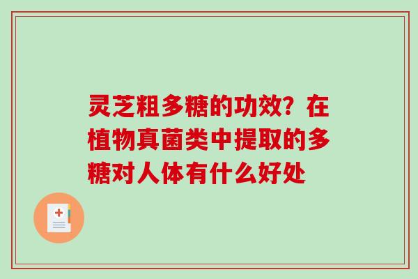 灵芝粗多糖的功效?在植物真菌类中提取的多糖对人体有什么好处-第1张图片-破壁灵芝孢子粉研究指南 灵芝粗多糖的功效?在植物真菌类中提取的多糖对人体有什么好处-第1张图片-破壁灵芝孢子粉研究指南