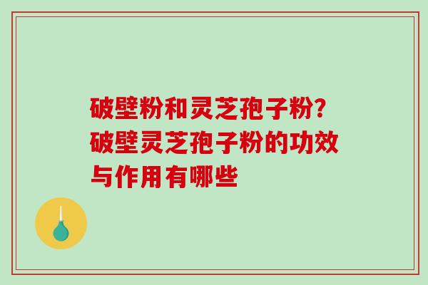 破壁粉和灵芝孢子粉？破壁灵芝孢子粉的功效与作用有哪些-第1张图片-破壁灵芝孢子粉研究指南