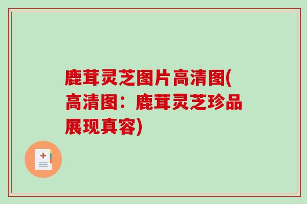 鹿茸灵芝图片高清图(高清图:鹿茸灵芝珍品展现真容)-第1张图片-破壁灵芝孢子粉研究指南 鹿茸灵芝图片高清图(高清图:鹿茸灵芝珍品展现真容)-第1张图片-破壁灵芝孢子粉研究指南