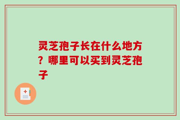 灵芝孢子长在什么地方?哪里可以买到灵芝孢子-第1张图片-破壁灵芝孢子粉研究指南 灵芝孢子长在什么地方?哪里可以买到灵芝孢子-第1张图片-破壁灵芝孢子粉研究指南