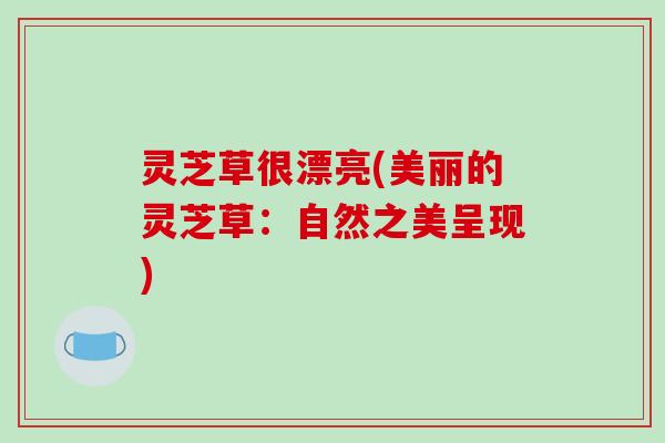 灵芝草很漂亮(美丽的灵芝草：自然之美呈现)-第1张图片-破壁灵芝孢子粉研究指南