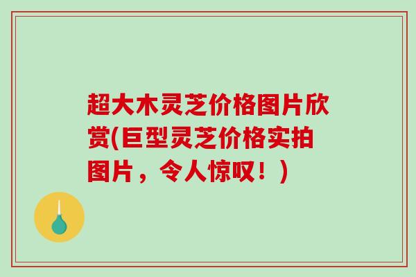 超大木灵芝价格图片欣赏(巨型灵芝价格实拍图片，令人惊叹！)-第1张图片-破壁灵芝孢子粉研究指南