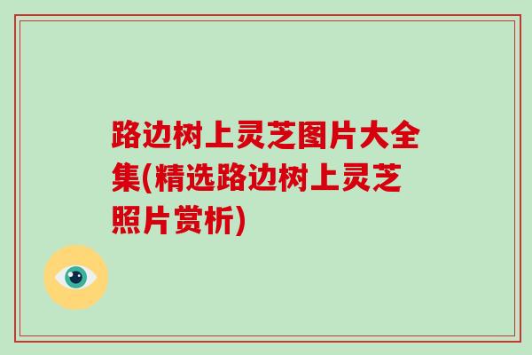 路边树上灵芝图片大全集(精选路边树上灵芝照片赏析)-第1张图片-破壁灵芝孢子粉研究指南 路边树上灵芝图片大全集(精选路边树上灵芝照片赏析)-第1张图片-破壁灵芝孢子粉研究指南