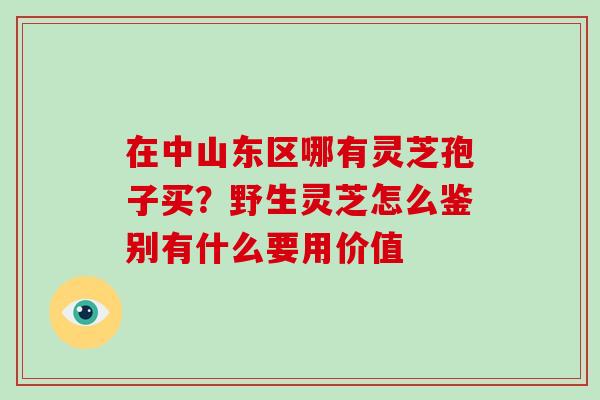 在中山东区哪有灵芝孢子买？野生灵芝怎么鉴别有什么要用价值-第1张图片-破壁灵芝孢子粉研究指南