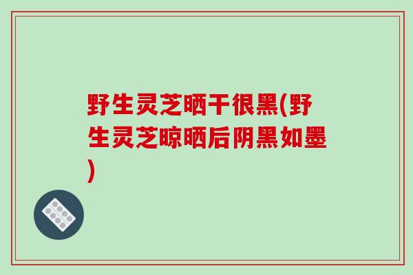 野生灵芝晒干很黑(野生灵芝晾晒后阴黑如墨)-第1张图片-破壁灵芝孢子粉研究指南 野生灵芝晒干很黑(野生灵芝晾晒后阴黑如墨)-第1张图片-破壁灵芝孢子粉研究指南