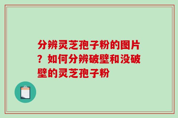 分辨灵芝孢子粉的图片?如何分辨破壁和没破壁的灵芝孢子粉-第1张图片-破壁灵芝孢子粉研究指南 分辨灵芝孢子粉的图片?如何分辨破壁和没破壁的灵芝孢子粉-第1张图片-破壁灵芝孢子粉研究指南
