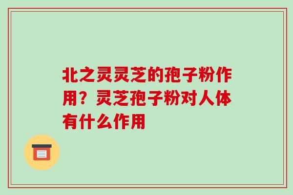 北之灵灵芝的孢子粉作用?灵芝孢子粉对人体有什么作用-第1张图片-破壁灵芝孢子粉研究指南 北之灵灵芝的孢子粉作用?灵芝孢子粉对人体有什么作用-第1张图片-破壁灵芝孢子粉研究指南