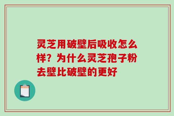 灵芝用破壁后吸收怎么样？为什么灵芝孢子粉去壁比破壁的更好-第1张图片-破壁灵芝孢子粉研究指南