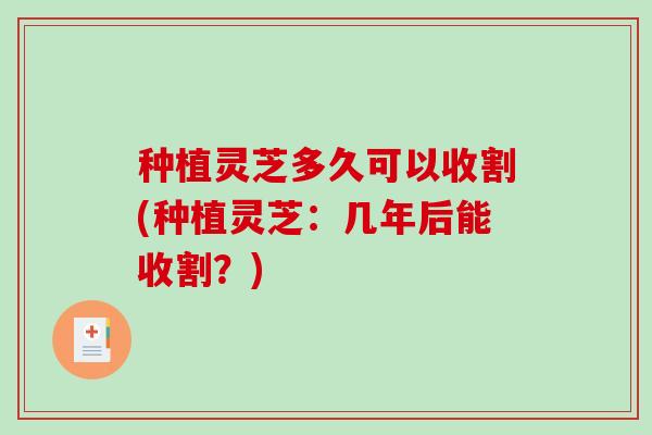 种植灵芝多久可以收割(种植灵芝:几年后能收割?)-第1张图片-破壁灵芝孢子粉研究指南 种植灵芝多久可以收割(种植灵芝:几年后能收割?)-第1张图片-破壁灵芝孢子粉研究指南