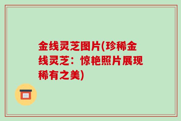 金线灵芝图片(珍稀金线灵芝：惊艳照片展现稀有之美)-第1张图片-破壁灵芝孢子粉研究指南
