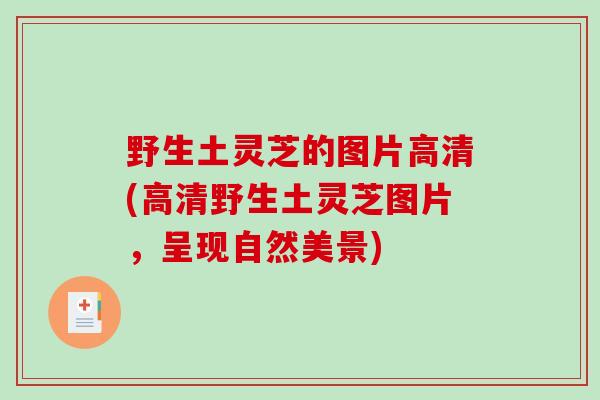 野生土灵芝的图片高清(高清野生土灵芝图片，呈现自然美景)-第1张图片-破壁灵芝孢子粉研究指南