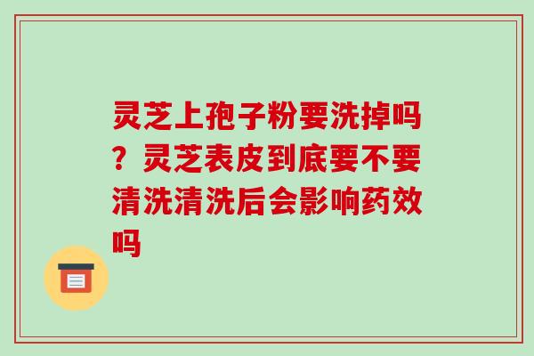 灵芝上孢子粉要洗掉吗?灵芝表皮到底要不要清洗清洗后会影响药效吗-第1张图片-破壁灵芝孢子粉研究指南 灵芝上孢子粉要洗掉吗?灵芝表皮到底要不要清洗清洗后会影响药效吗-第1张图片-破壁灵芝孢子粉研究指南