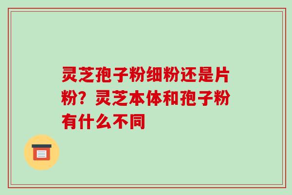 灵芝孢子粉细粉还是片粉?灵芝本体和孢子粉有什么不同-第1张图片-破壁灵芝孢子粉研究指南 灵芝孢子粉细粉还是片粉?灵芝本体和孢子粉有什么不同-第1张图片-破壁灵芝孢子粉研究指南