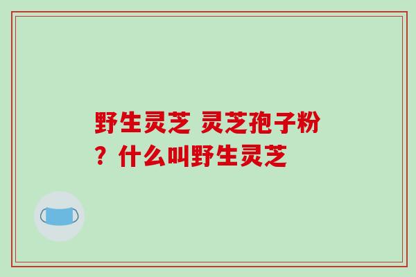 野生灵芝 灵芝孢子粉?什么叫野生灵芝-第1张图片-破壁灵芝孢子粉研究指南 野生灵芝 灵芝孢子粉?什么叫野生灵芝-第1张图片-破壁灵芝孢子粉研究指南