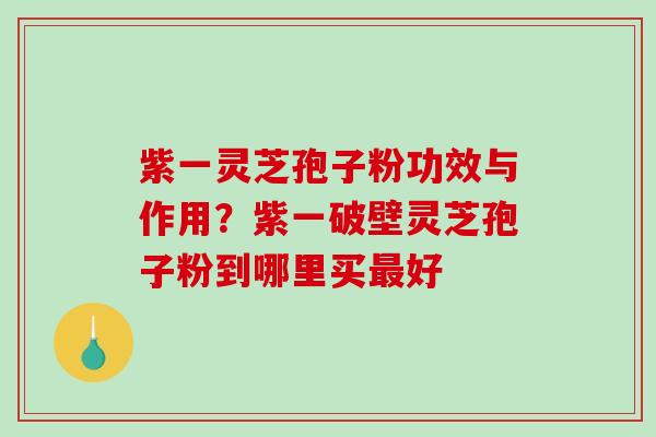紫一灵芝孢子粉功效与作用?紫一破壁灵芝孢子粉到哪里买最好-第1张图片-破壁灵芝孢子粉研究指南 紫一灵芝孢子粉功效与作用?紫一破壁灵芝孢子粉到哪里买最好-第1张图片-破壁灵芝孢子粉研究指南
