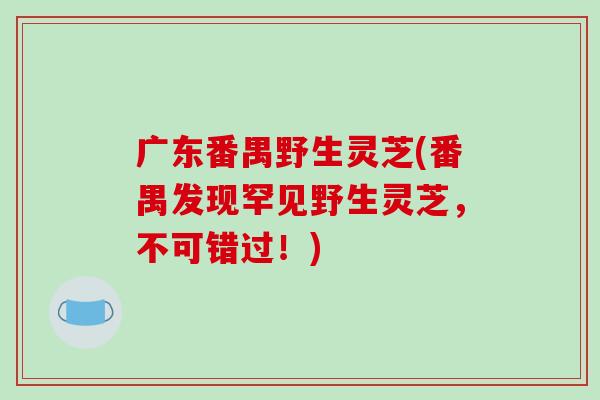 广东番禺野生灵芝(番禺发现罕见野生灵芝，不可错过！)-第1张图片-破壁灵芝孢子粉研究指南