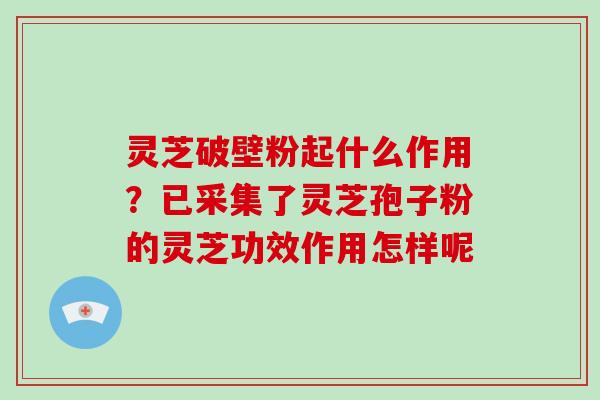 灵芝破壁粉起什么作用?已采集了灵芝孢子粉的灵芝功效作用怎样呢-第1张图片-破壁灵芝孢子粉研究指南 灵芝破壁粉起什么作用?已采集了灵芝孢子粉的灵芝功效作用怎样呢-第1张图片-破壁灵芝孢子粉研究指南