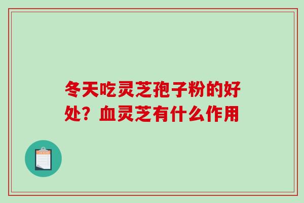 冬天吃灵芝孢子粉的好处?血灵芝有什么作用-第1张图片-破壁灵芝孢子粉研究指南 冬天吃灵芝孢子粉的好处?血灵芝有什么作用-第1张图片-破壁灵芝孢子粉研究指南