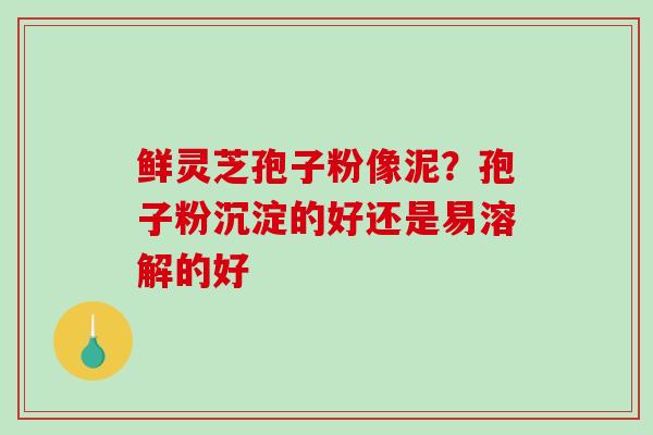 鲜灵芝孢子粉像泥?孢子粉沉淀的好还是易溶解的好-第1张图片-破壁灵芝孢子粉研究指南 鲜灵芝孢子粉像泥?孢子粉沉淀的好还是易溶解的好-第1张图片-破壁灵芝孢子粉研究指南