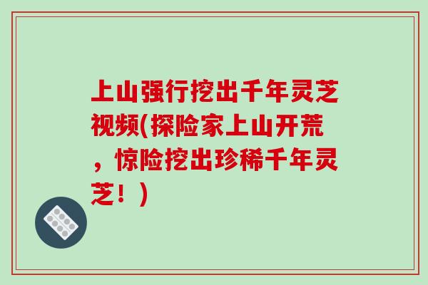 上山强行挖出千年灵芝视频(探险家上山开荒,惊险挖出珍稀千年灵芝!)-第1张图片-破壁灵芝孢子粉研究指南 上山强行挖出千年灵芝视频(探险家上山开荒,惊险挖出珍稀千年灵芝!)-第1张图片-破壁灵芝孢子粉研究指南