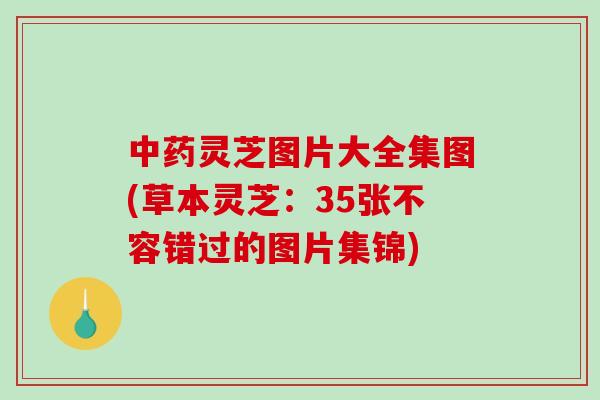 中药灵芝图片大全集图(草本灵芝：35张不容错过的图片集锦)-第1张图片-破壁灵芝孢子粉研究指南