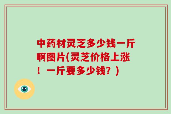 中药材灵芝多少钱一斤啊图片(灵芝价格上涨！一斤要多少钱？)-第1张图片-破壁灵芝孢子粉研究指南