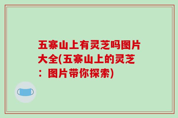 五寨山上有灵芝吗图片大全(五寨山上的灵芝:图片带你探索)-第1张图片-破壁灵芝孢子粉研究指南 五寨山上有灵芝吗图片大全(五寨山上的灵芝:图片带你探索)-第1张图片-破壁灵芝孢子粉研究指南