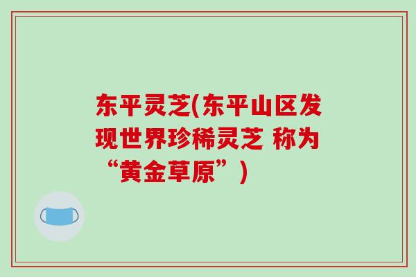 东平灵芝(东平山区发现世界珍稀灵芝 称为“黄金草原”)-第1张图片-破壁灵芝孢子粉研究指南 东平灵芝(东平山区发现世界珍稀灵芝 称为“黄金草原”)-第1张图片-破壁灵芝孢子粉研究指南