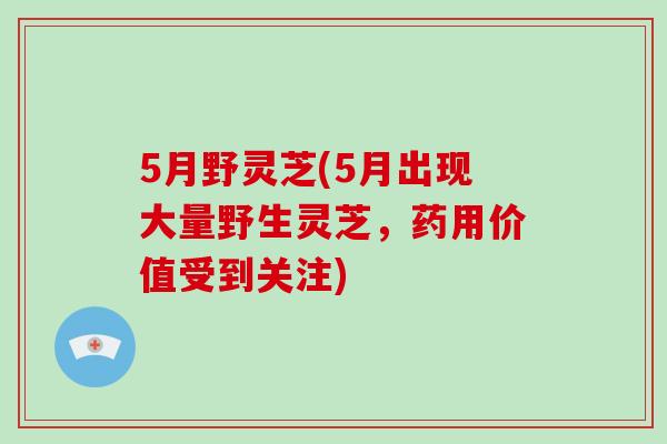 5月野灵芝(5月出现大量野生灵芝，药用价值受到关注)-第1张图片-破壁灵芝孢子粉研究指南