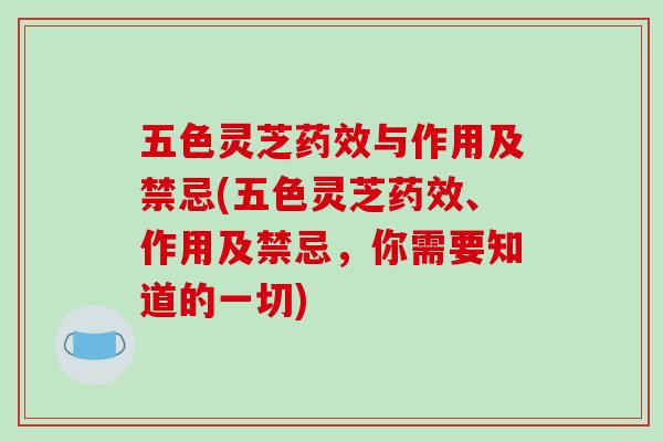 五色灵芝药效与作用及禁忌(五色灵芝药效、作用及禁忌,你需要知道的一切)-第1张图片-破壁灵芝孢子粉研究指南 五色灵芝药效与作用及禁忌(五色灵芝药效、作用及禁忌,你需要知道的一切)-第1张图片-破壁灵芝孢子粉研究指南
