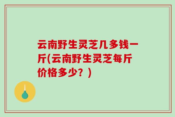 云南野生灵芝几多钱一斤(云南野生灵芝每斤价格多少？)-第1张图片-破壁灵芝孢子粉研究指南