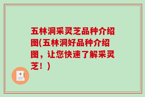 五林洞采灵芝品种介绍图(五林洞好品种介绍图,让您快速了解采灵芝!)-第1张图片-破壁灵芝孢子粉研究指南 五林洞采灵芝品种介绍图(五林洞好品种介绍图,让您快速了解采灵芝!)-第1张图片-破壁灵芝孢子粉研究指南