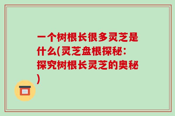 一个树根长很多灵芝是什么(灵芝盘根探秘：探究树根长灵芝的奥秘)-第1张图片-破壁灵芝孢子粉研究指南